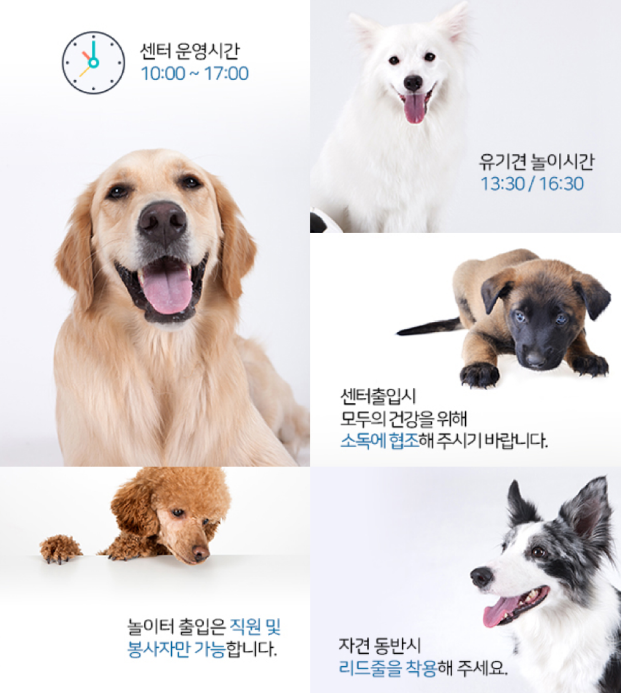 이용수칙